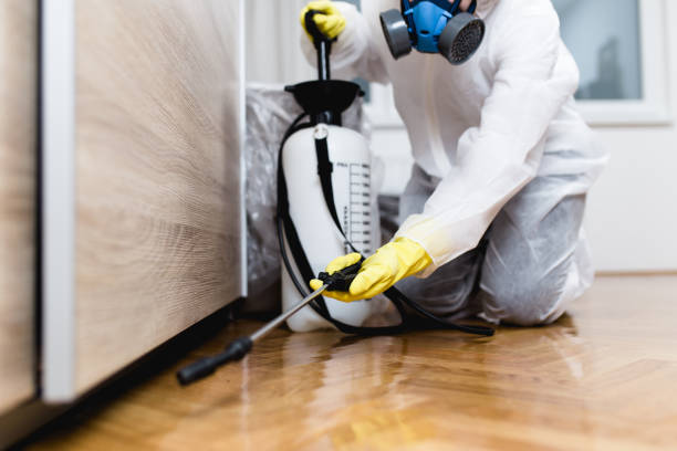 Best Exterminator Services  in Vergennes, VT