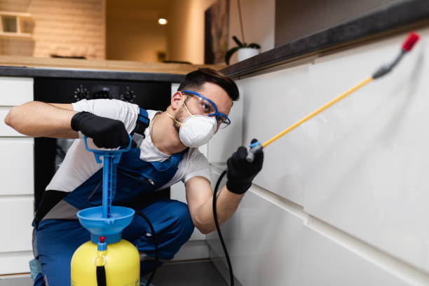 Best Flea Control Services  in Vergennes, VT