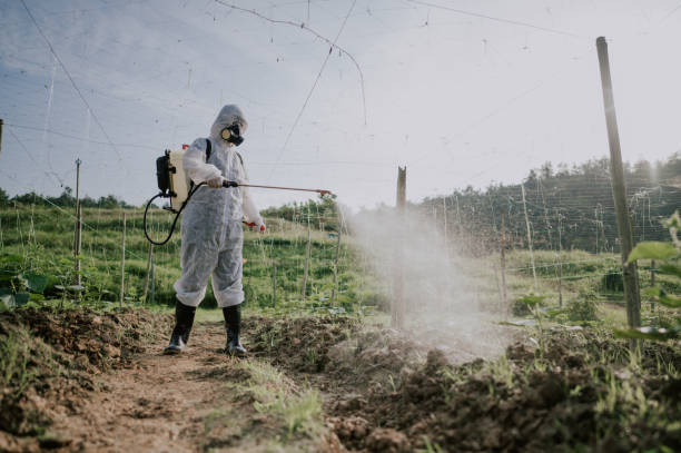 Best Ant Control Services  in Vergennes, VT