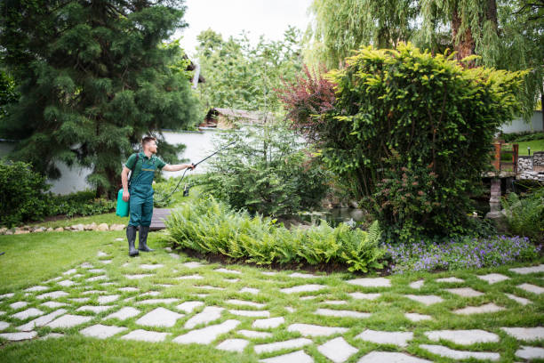 Best Residential Pest Control  in Vergennes, VT