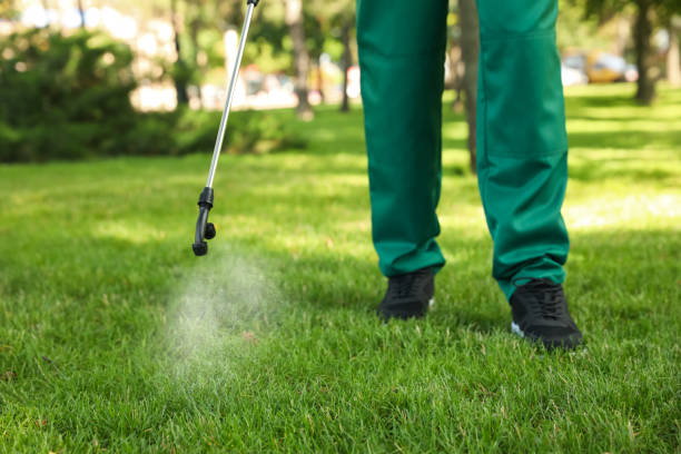 Best Bed Bug Extermination  in Vergennes, VT