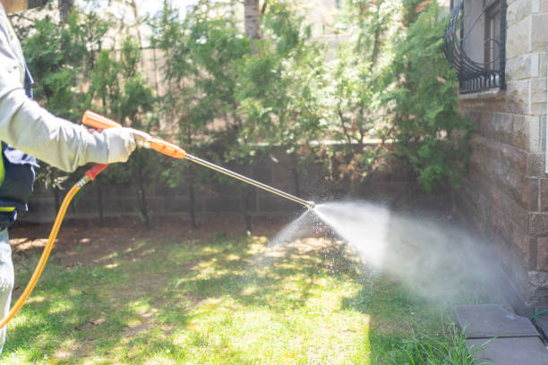 Best Mosquito Control Services  in Vergennes, VT