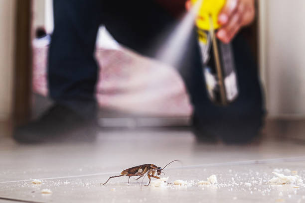 Best Pest Removal Services  in Vergennes, VT