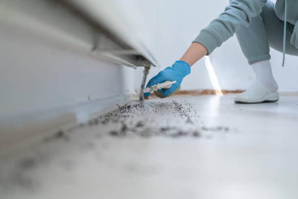 Best Pest Inspection Near Me  in Vergennes, VT